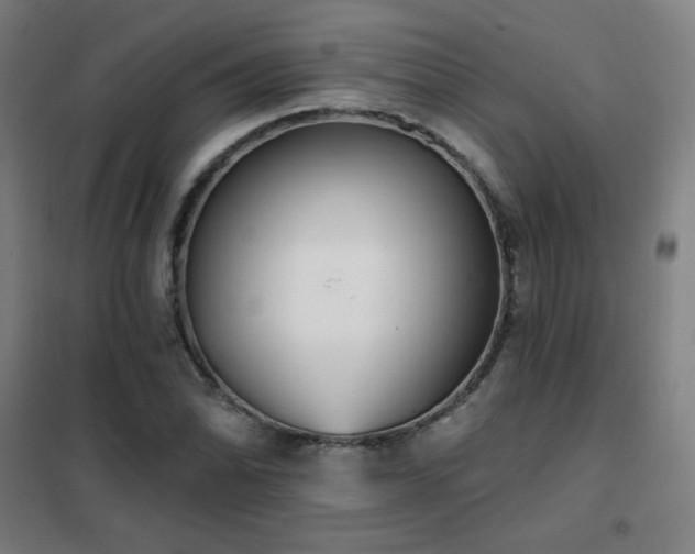 X0000102291070200807251416