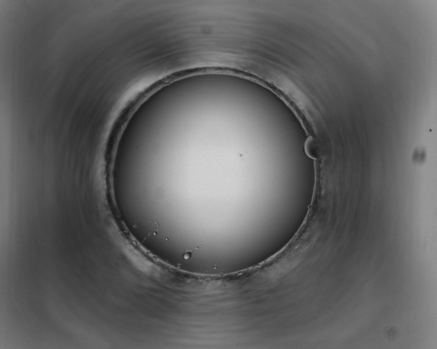X0000102291072200807251416