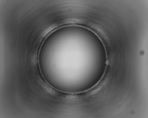 X0000102291073200807251416