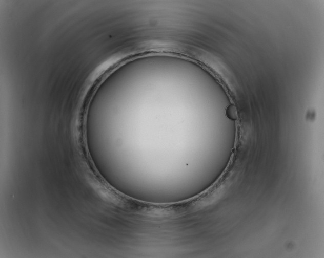 X0000102291074200807251416
