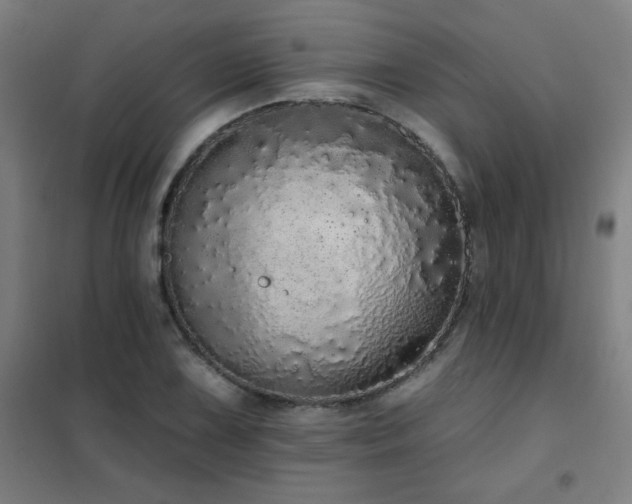 X0000102291075200807251416