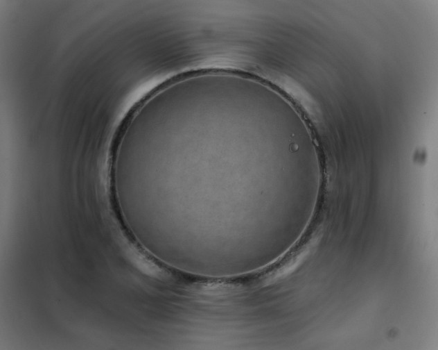 X0000102291077200807251416
