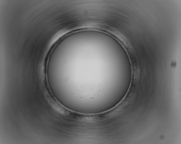 X0000102291078200807251416