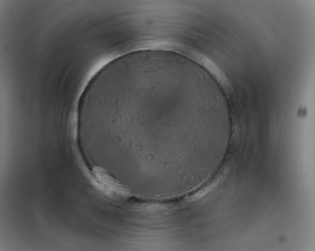 X0000102291079200807251416