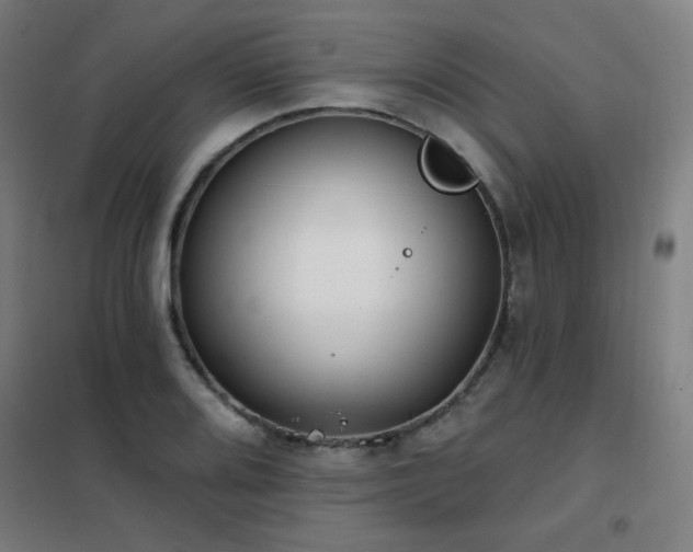 X0000102291080200807251416