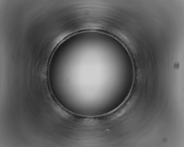 X0000102291081200807251416