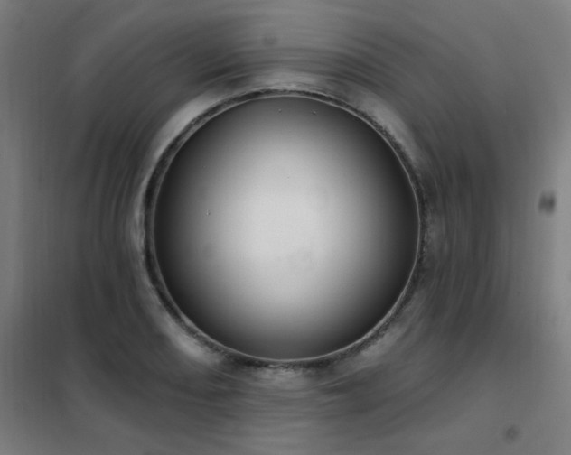 X0000102291082200807251416