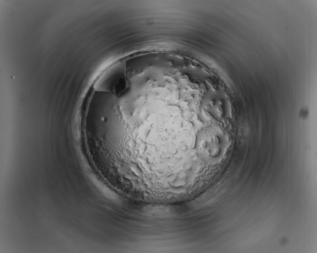 X0000102291083200807251416