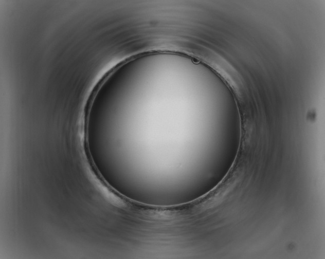 X0000102291084200807251416