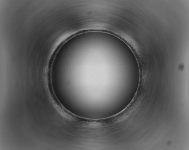 X0000102291085200807251416