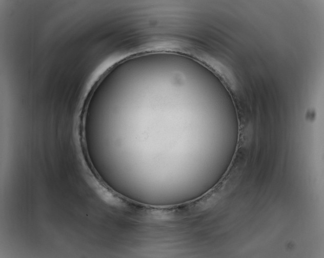 X0000102291086200807251416