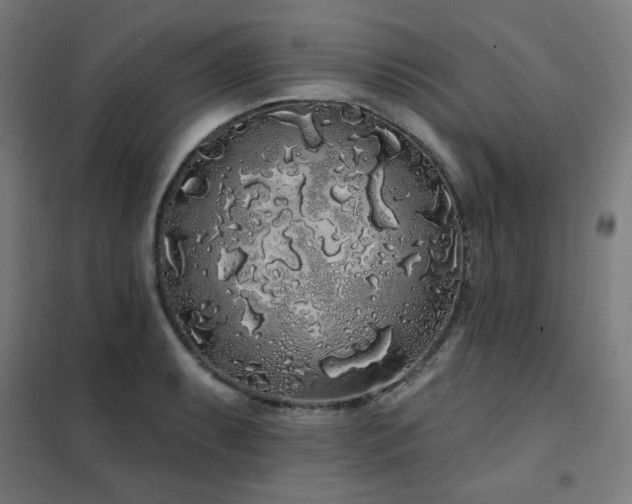 X0000102291087200807251416