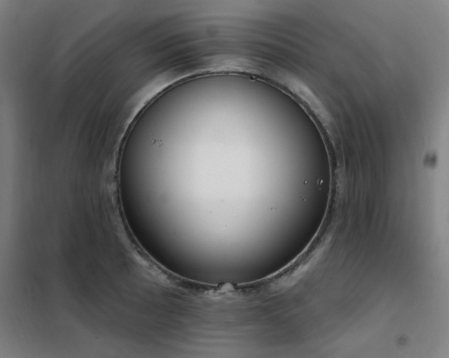 X0000102291089200807251416