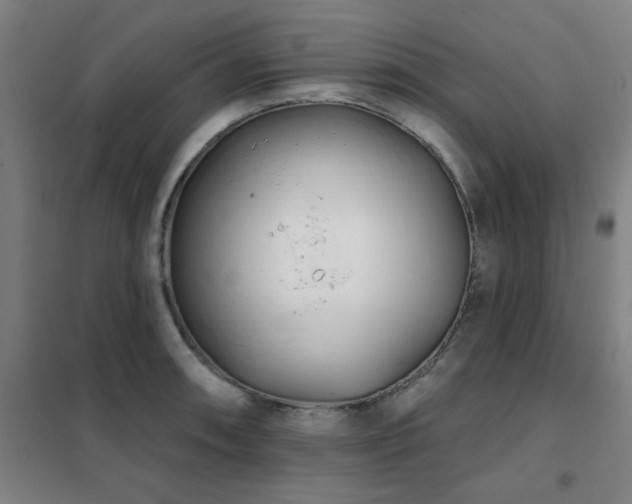 X0000102291090200807251416