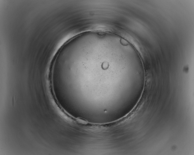X0000102291091200807251416