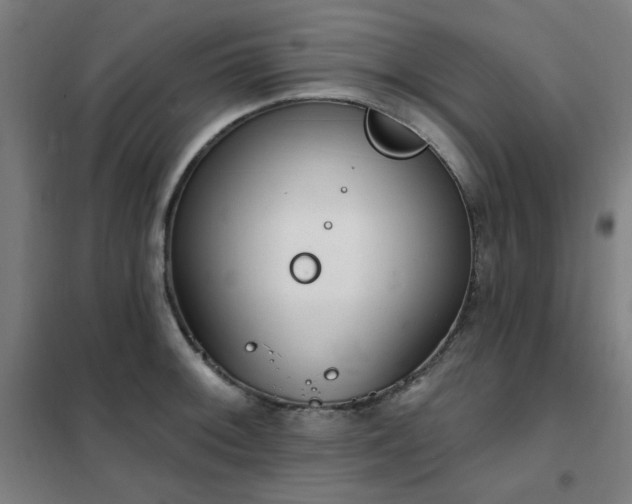 X0000102291092200807251416