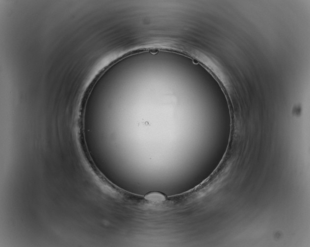 X0000102291093200807251416