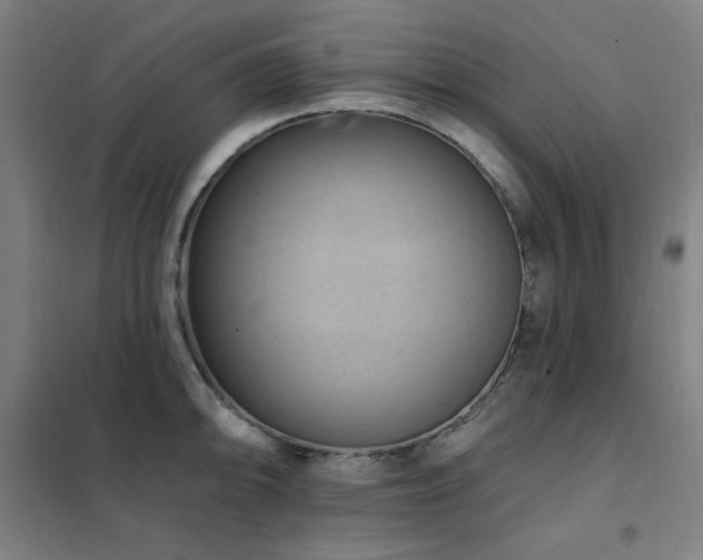 X0000102291094200807251416