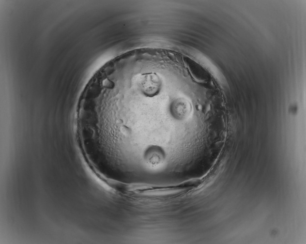 X0000102291095200807251416