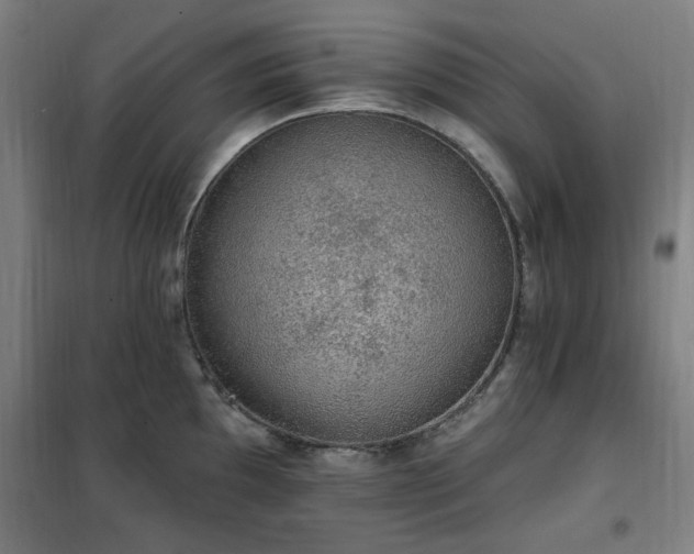 X0000102291097200807251416