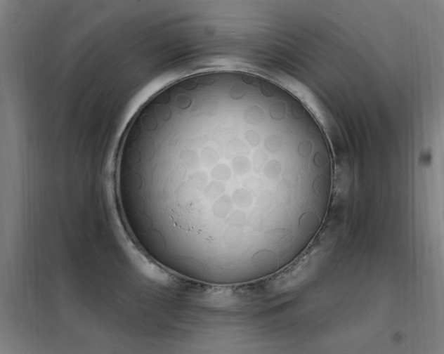 X0000102291098200807251416