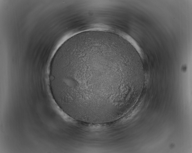 X0000102291099200807251416