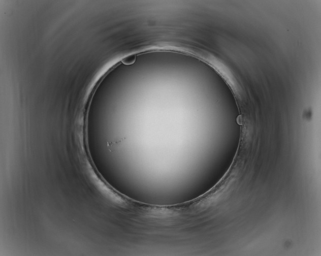 X0000102291100200807251416