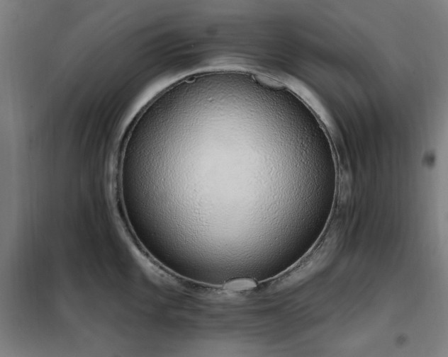 X0000102291101200807251416