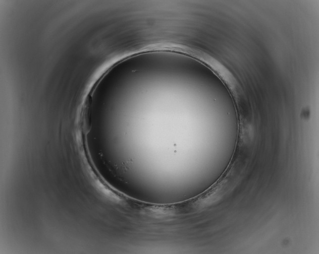 X0000102291102200807251416