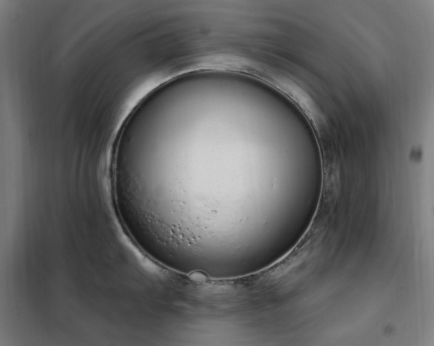 X0000102291103200807251416