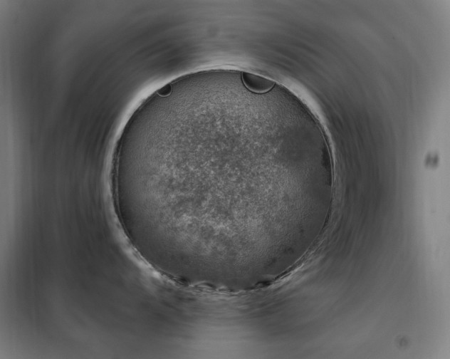 X0000102291104200807251416