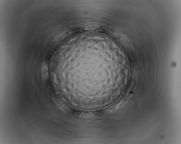 X0000102291106200807251415
