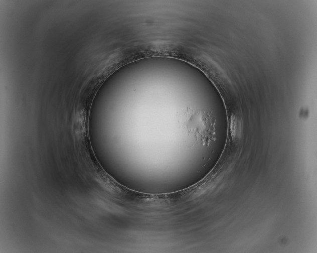 X0000102291107200807251415