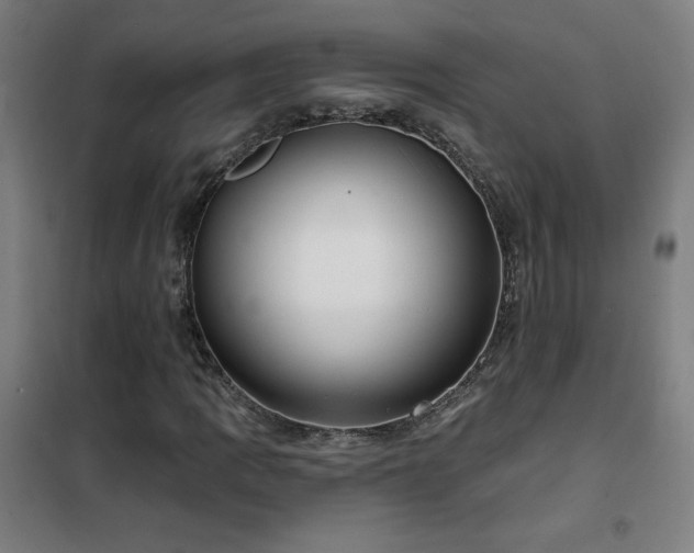 X0000102291109200807251415