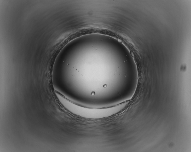 X0000102291110200807251415