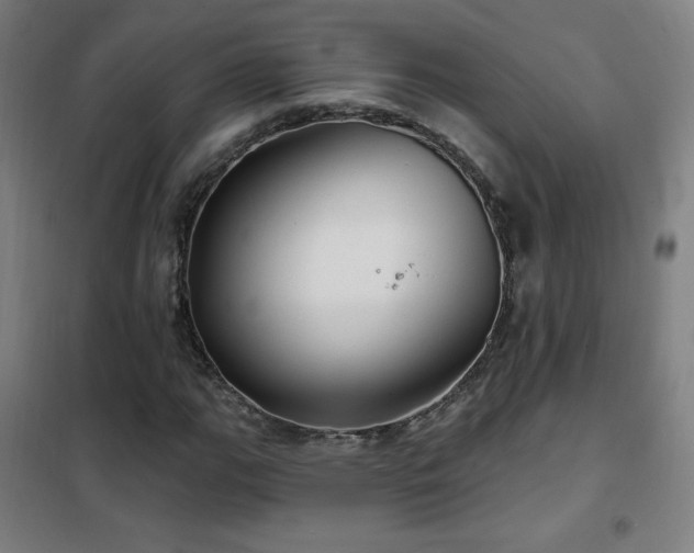 X0000102291111200807251415