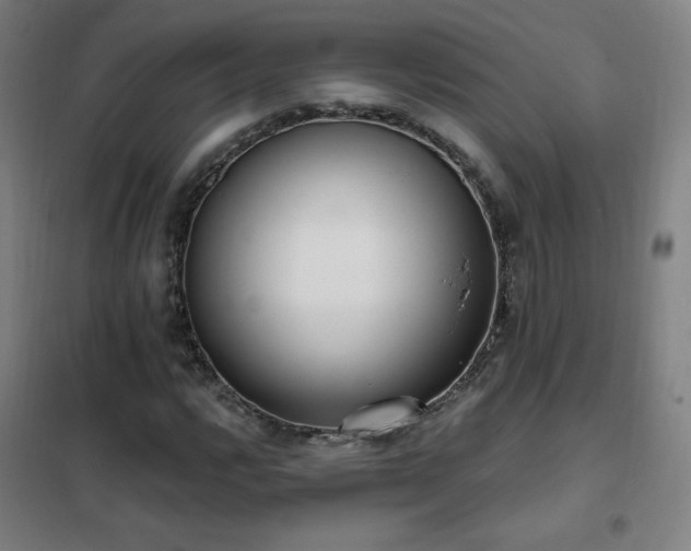 X0000102291112200807251415