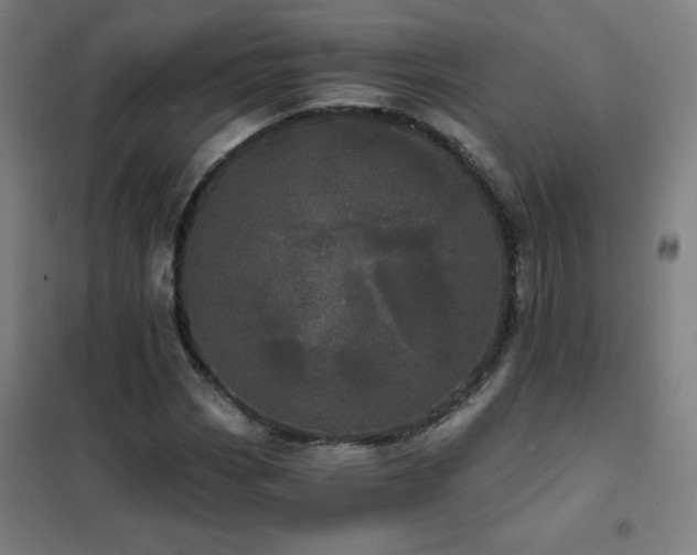 X0000102291113200807251415