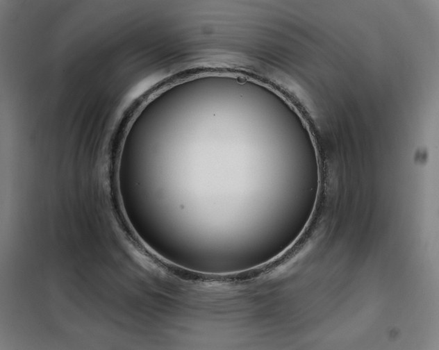 X0000102291114200807251415