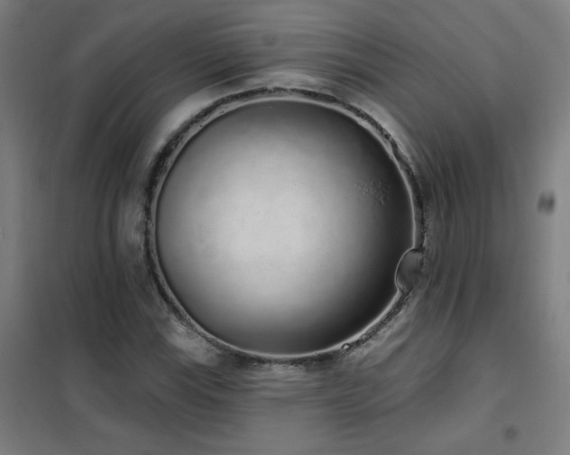 X0000102291115200807251415