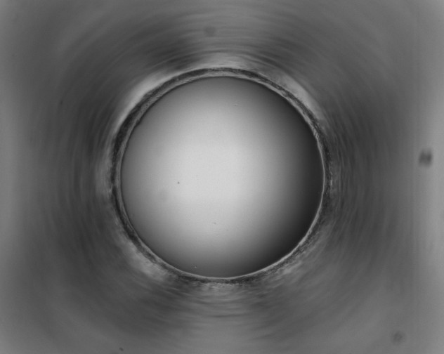 X0000102291116200807251415