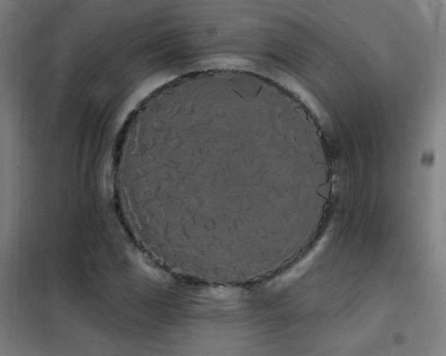 X0000102291117200807251415