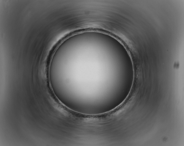 X0000102291118200807251415