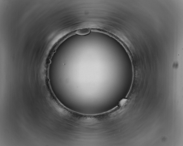 X0000102291119200807251415