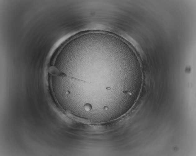 X0000102291120200807251415