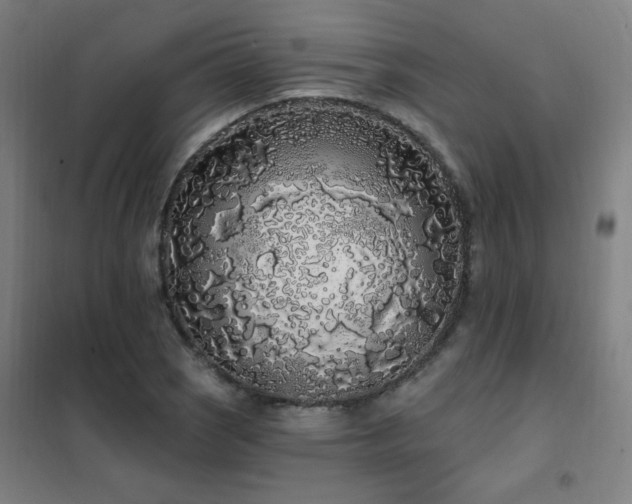 X0000102291121200807251415