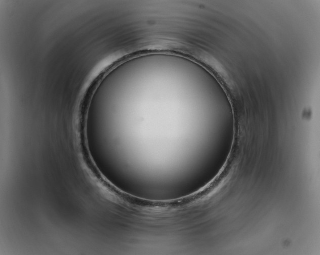 X0000102291122200807251415