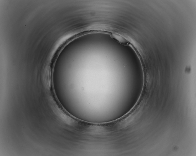 X0000102291123200807251415