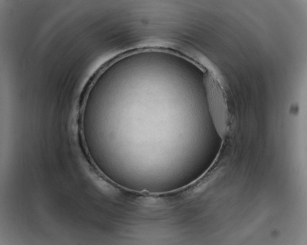 X0000102291124200807251415
