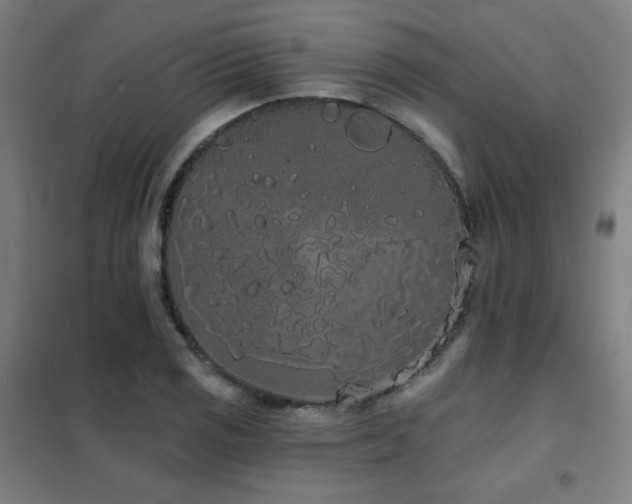 X0000102291125200807251415